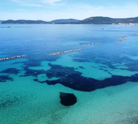 Asfodelo 56 * Alghero